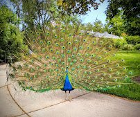 Tracy Aviary at Liberty Park photo 5