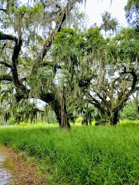 Polk's Nature Discovery Center photo 3