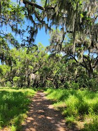 Polk's Nature Discovery Center photo 4