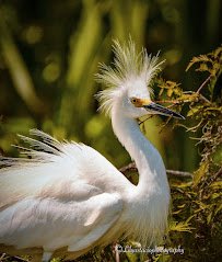 Polk's Nature Discovery Center photo 5