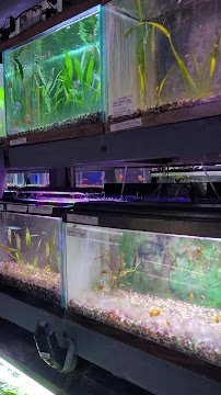 Caye's Aquarium photo 2