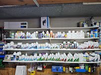 Caye's Aquarium photo 3