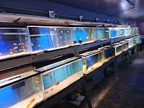 Caye's Aquarium photo 4