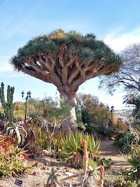 San Diego Botanic Garden