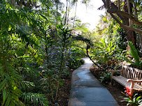 San Diego Botanic Garden photo 3