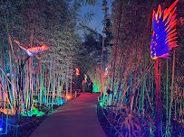 San Diego Botanic Garden photo 5
