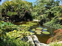 San Diego Botanic Garden photo 6