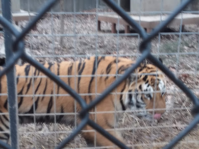 Wild Animal Adventures photo 4