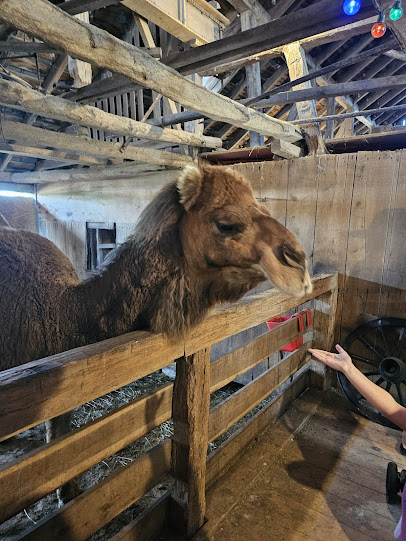 Rainbow Ranch Petting Zoo & Exotic Animal Farm