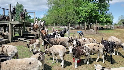 Rainbow Ranch Petting Zoo & Exotic Animal Farm photo 2