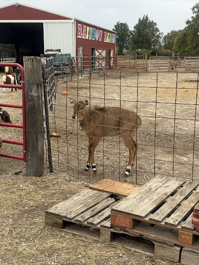 Rainbow Ranch Petting Zoo & Exotic Animal Farm photo 4