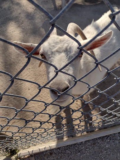 Tri-Township Park Zoo