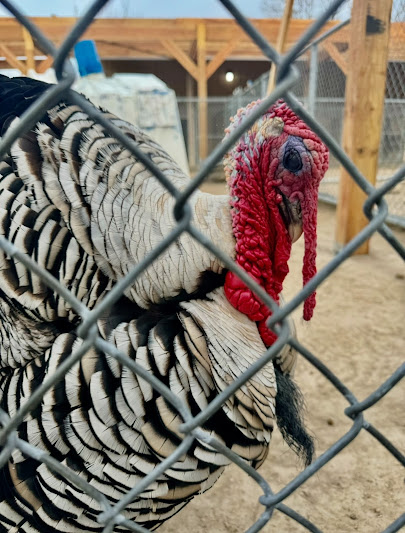 Tri-Township Park Zoo photo 3