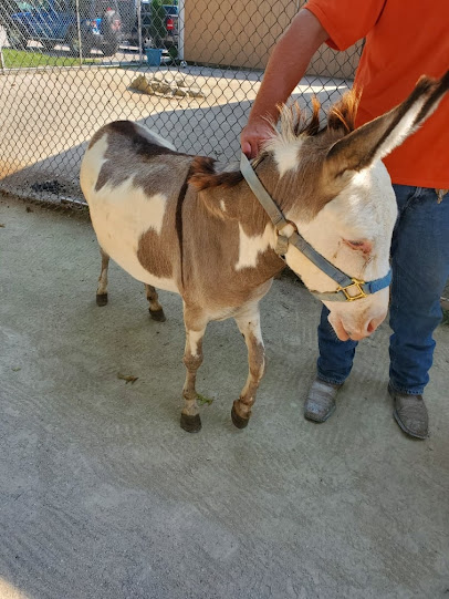 Tri-Township Park Zoo photo 6