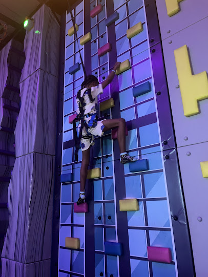 Urban Air Trampoline and Adventure Park photo 6