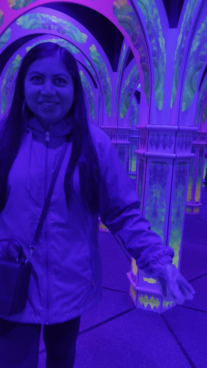 Magowan's Infinite Mirror Maze photo 2