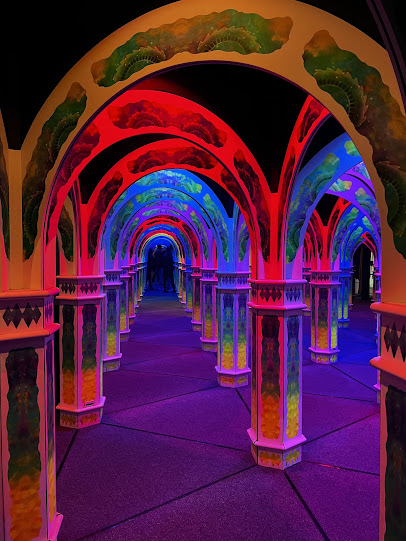 Magowan's Infinite Mirror Maze photo 3