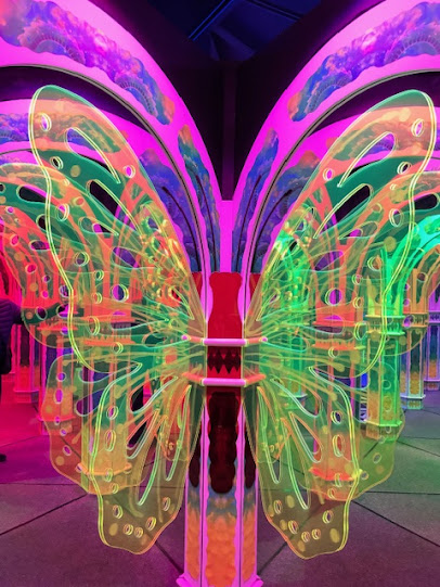 Magowan's Infinite Mirror Maze photo 6