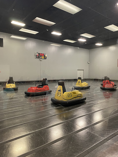 WhirlyBall Twin Cities photo 3