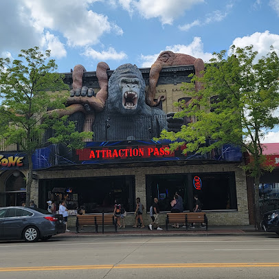 Wild Fun Zone