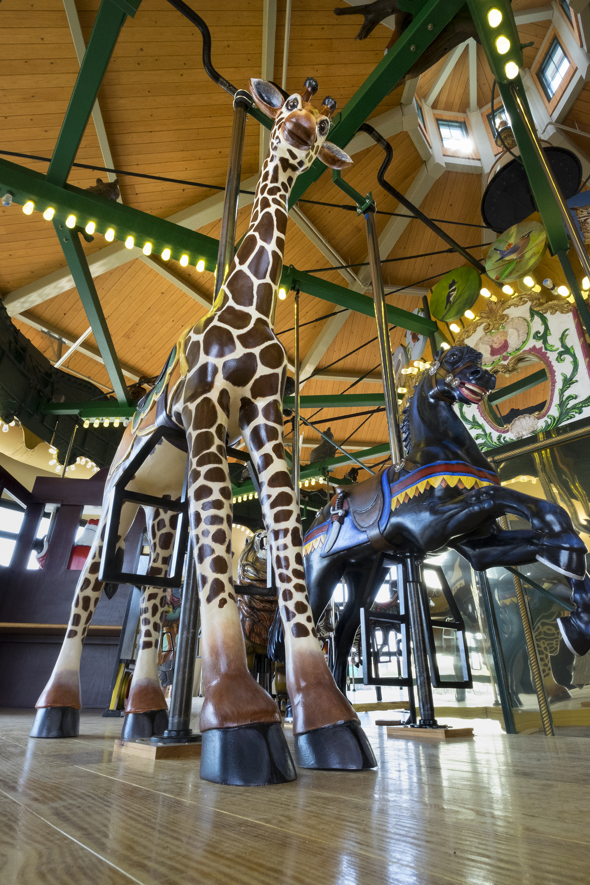 Kingsport Carousel & Park