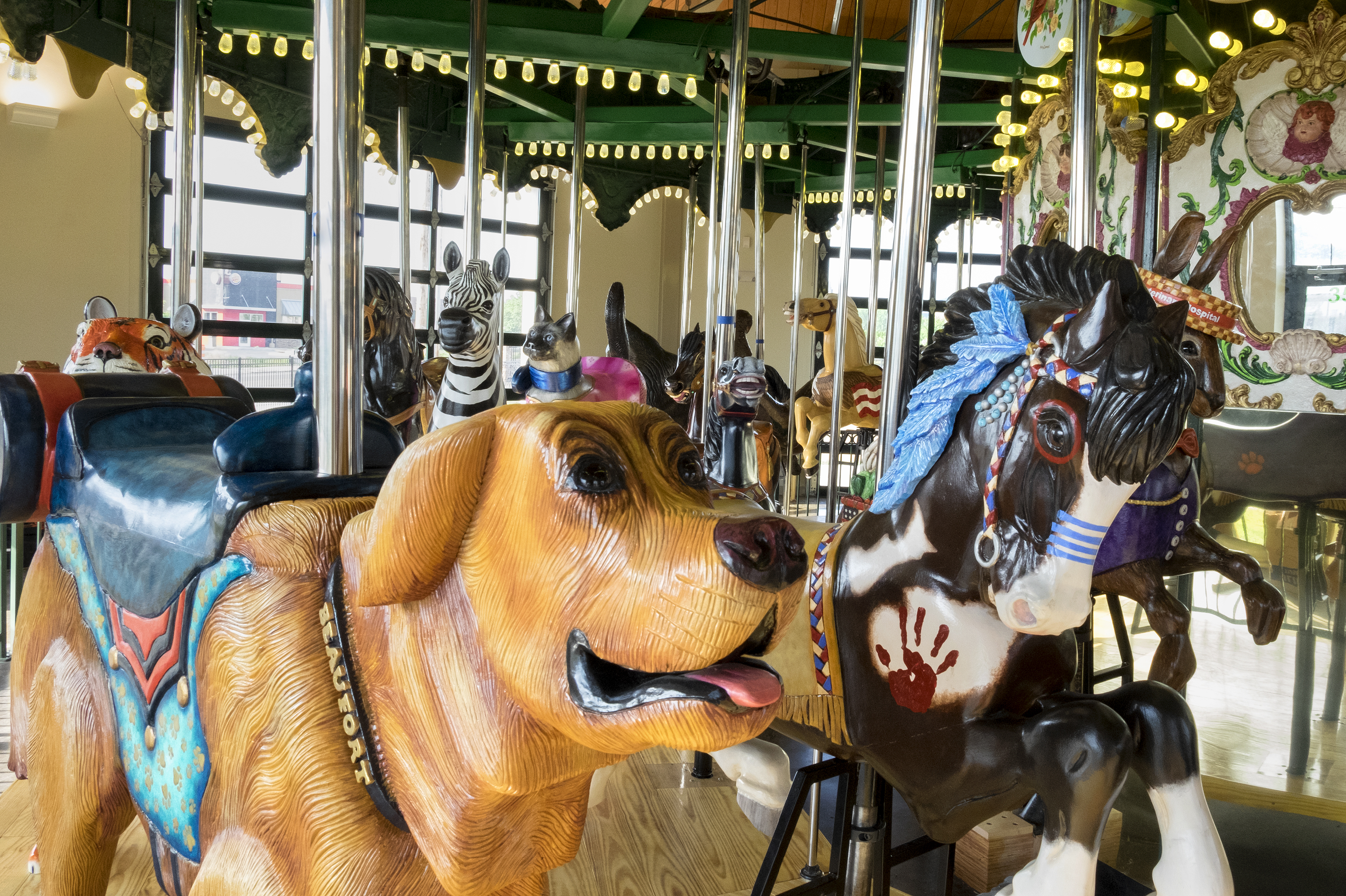 Kingsport Carousel & Park photo 5