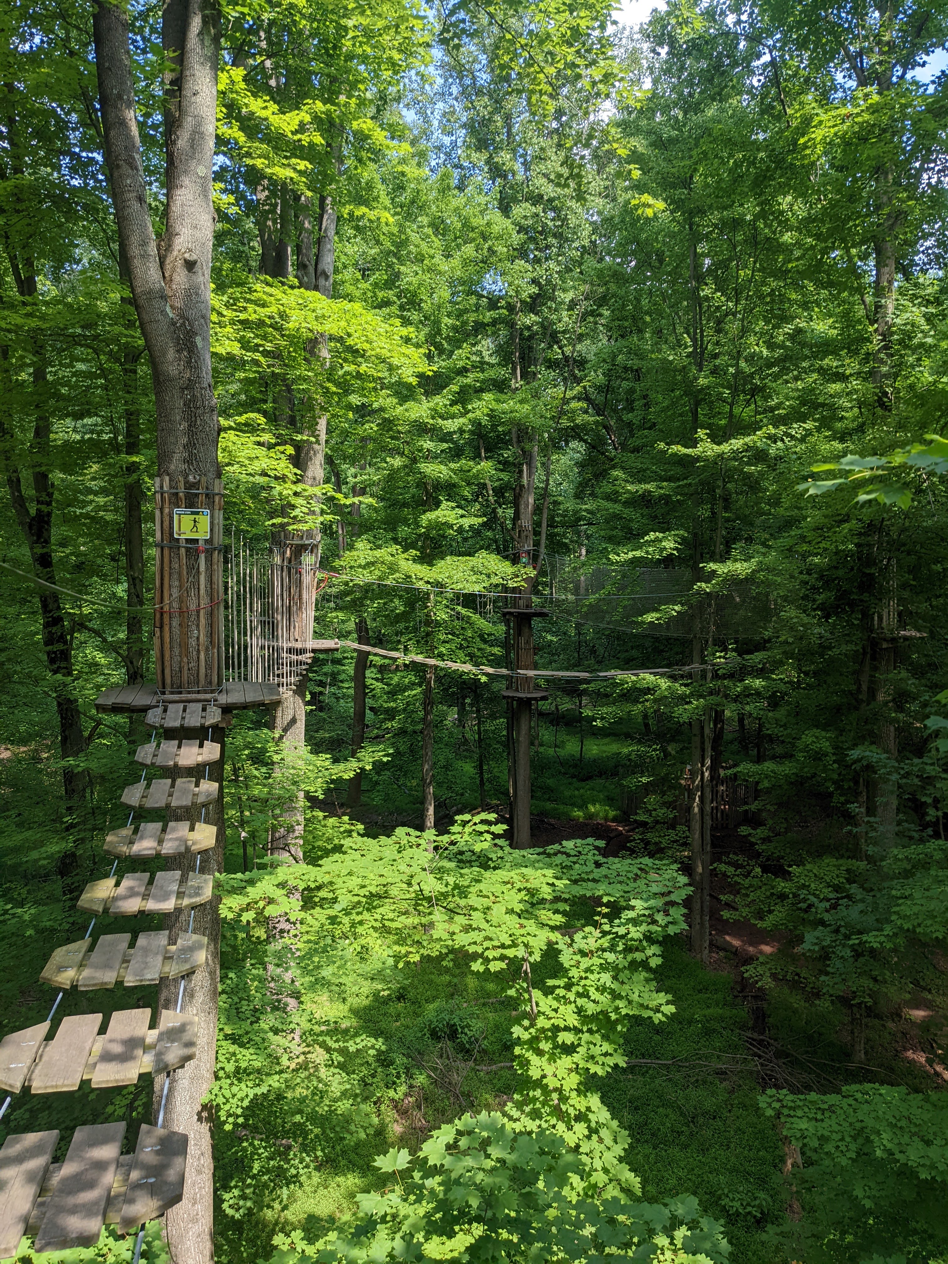 Go Ape Zipline and Adventure Park photo 3