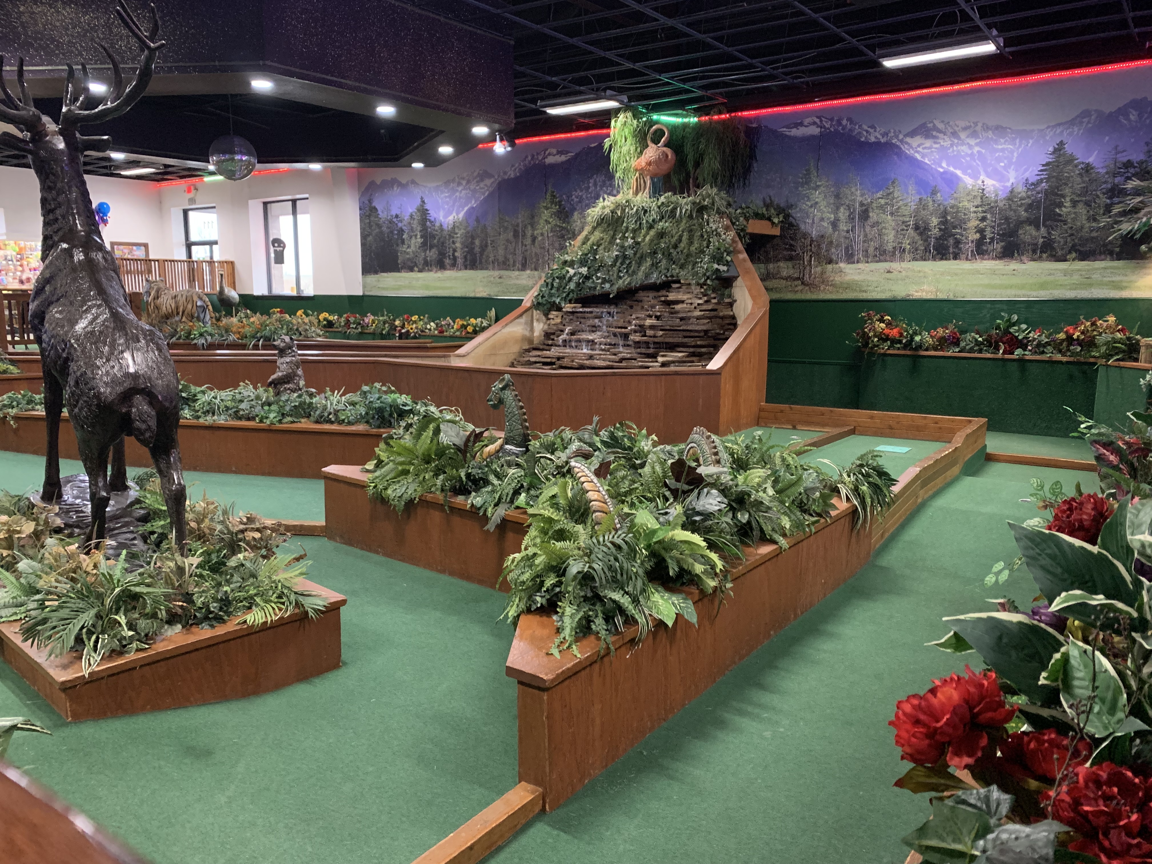 Family Fun Centre photo 6