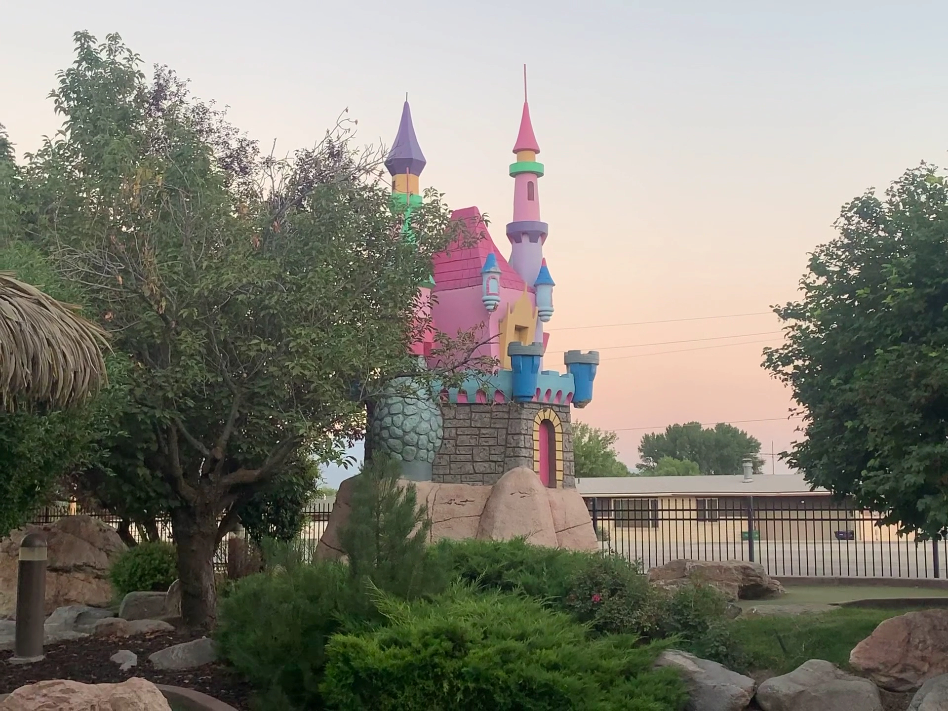 Toad's Fun Zone photo 2