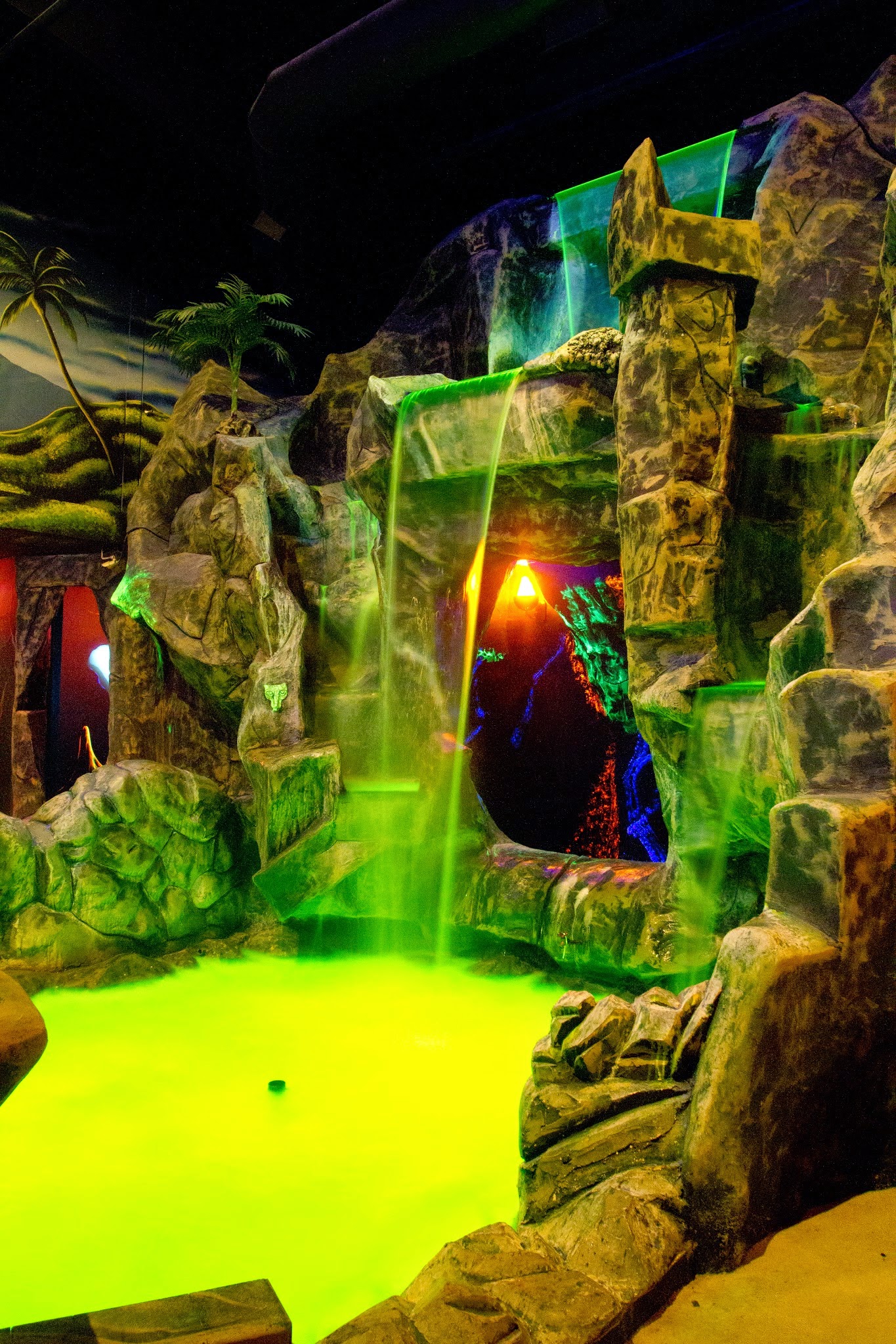 Toad's Fun Zone photo 4