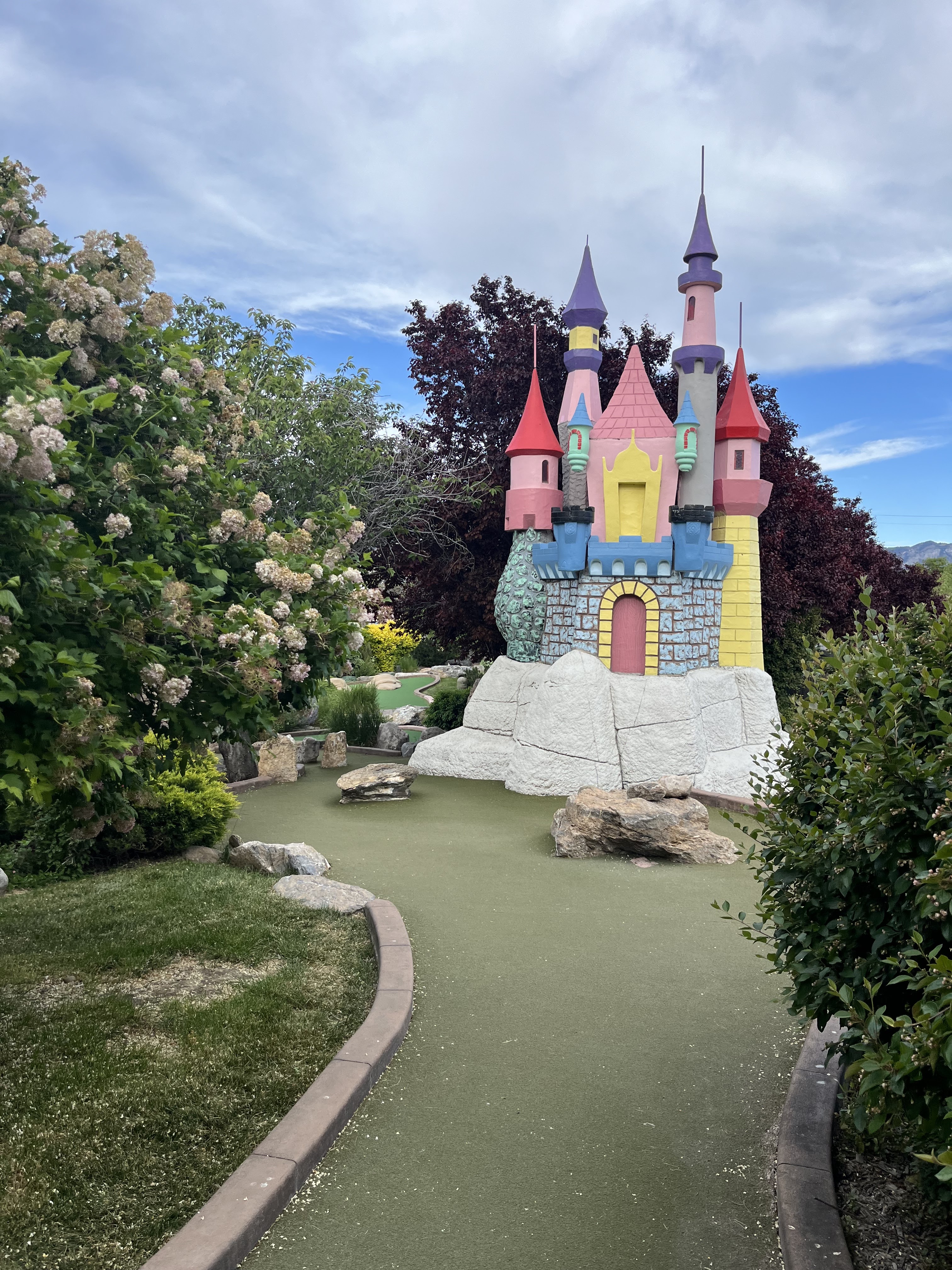 Toad's Fun Zone photo 6