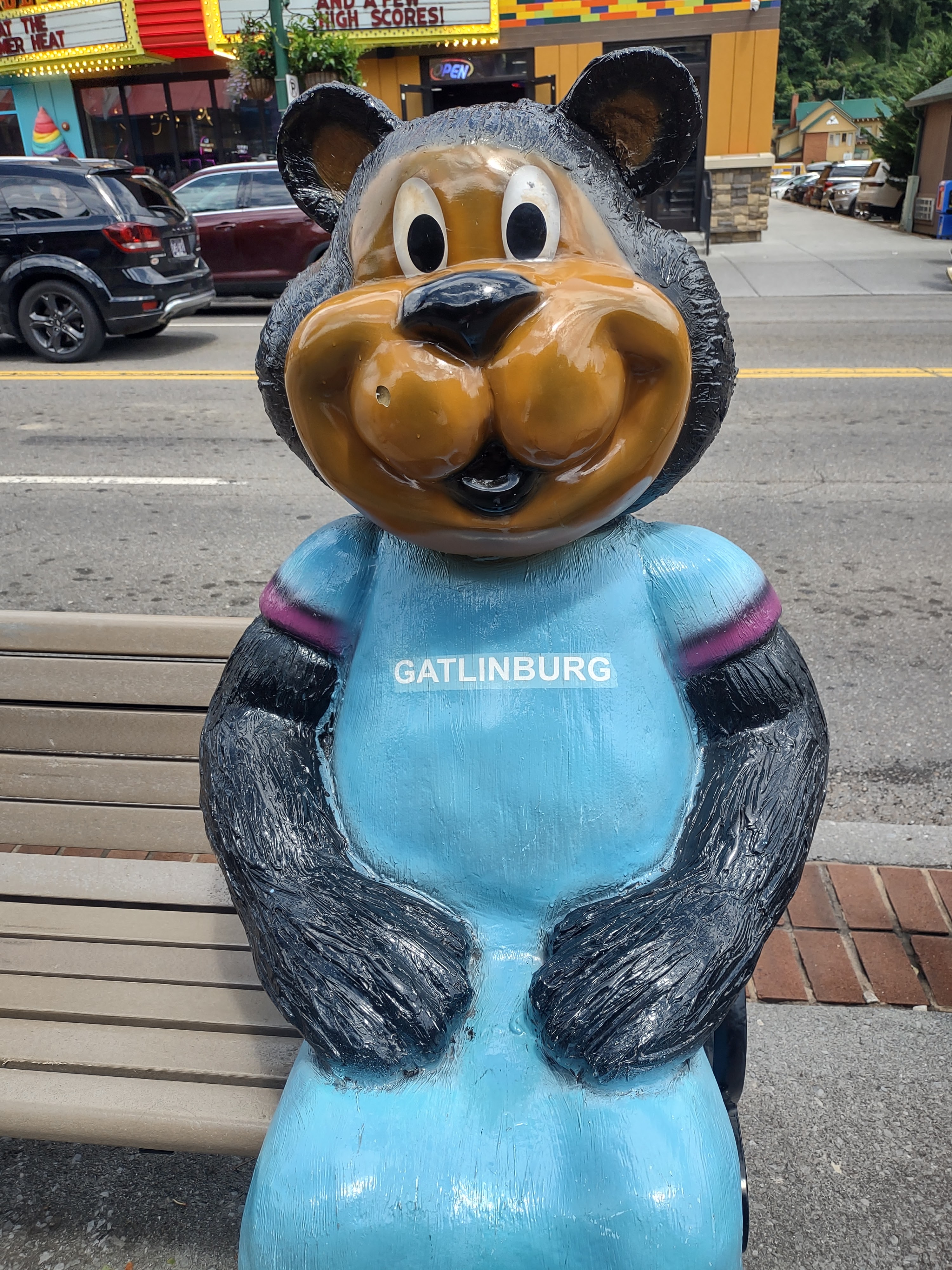 Arcade City Gatlinburg photo 4