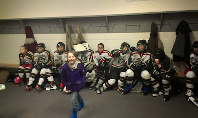Dempsey-Anderson Ice Arena photo 4
