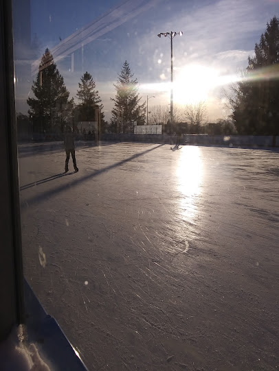 Ottawa Park Ice Rink photo 3
