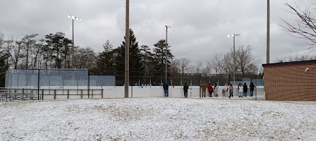 Ottawa Park Ice Rink photo 4
