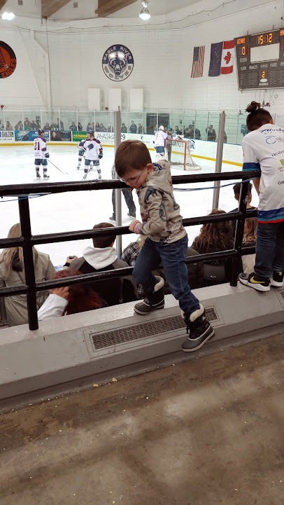 Ben Boeke Ice Arenas photo 6