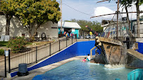 Volente Beach Resort & Waterpark photo 2