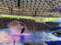 Aquatica San Antonio photo 3
