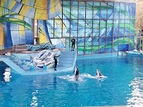 Aquatica San Antonio photo 5