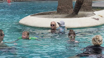 Forest Oasis Waterpark photo 2