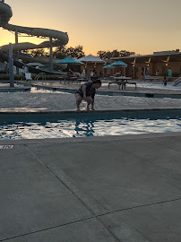 The Cove Aquatic Center at Crawford photo 3