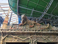 Aquatopia Indoor Waterpark photo 6