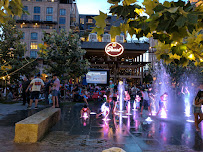 Gustav's Geysers photo 3