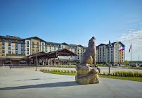 Great Wolf Lodge | Webster