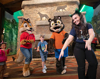 Great Wolf Lodge | Pocono Mountains photo 4