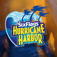 Hurricane Harbor Arlington photo 2