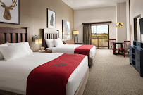 Great Wolf Lodge | Grapevine photo 3