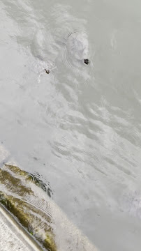 Indian Boundary Park Water Park photo 3